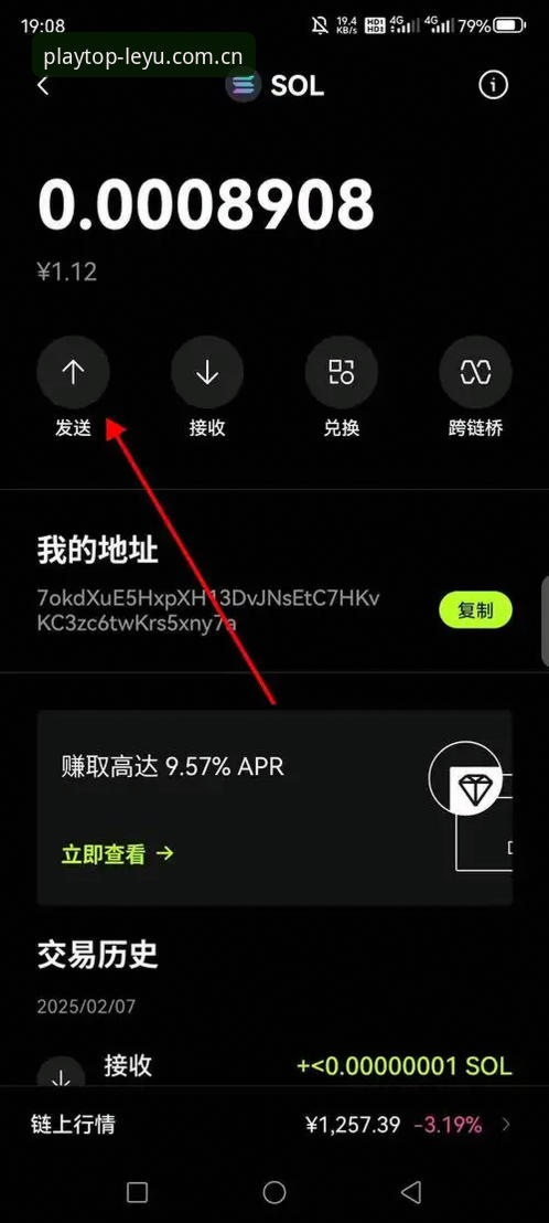 乐鱼体育平台使用教程常见问题全解析：从下载到活动的操作指南