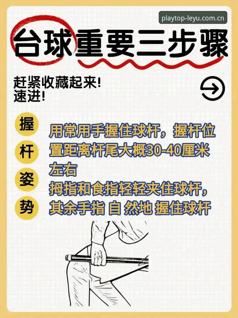 乐鱼体育平台手机版从零开始操作教程：快速上手与高效使用指南
